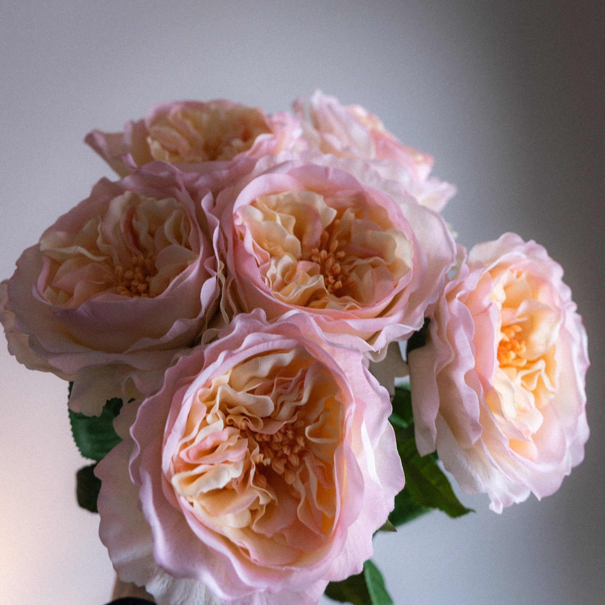 Kestokimppu Timeless Rose