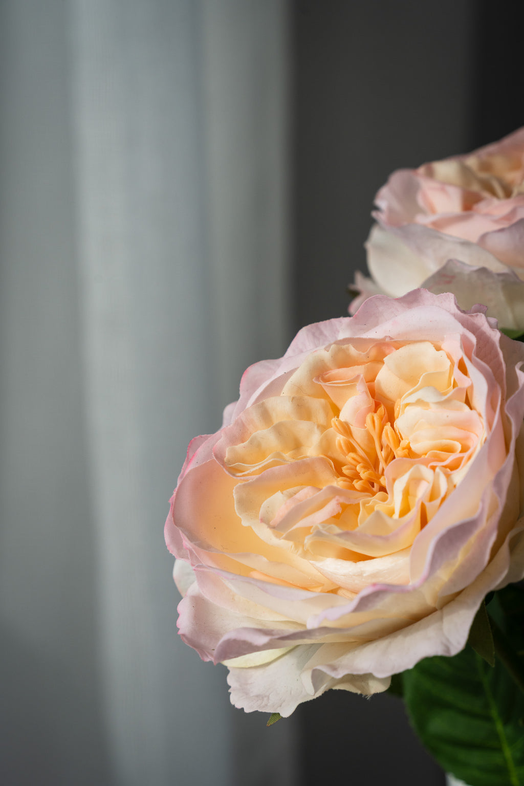 Kestokimppu Timeless Rose