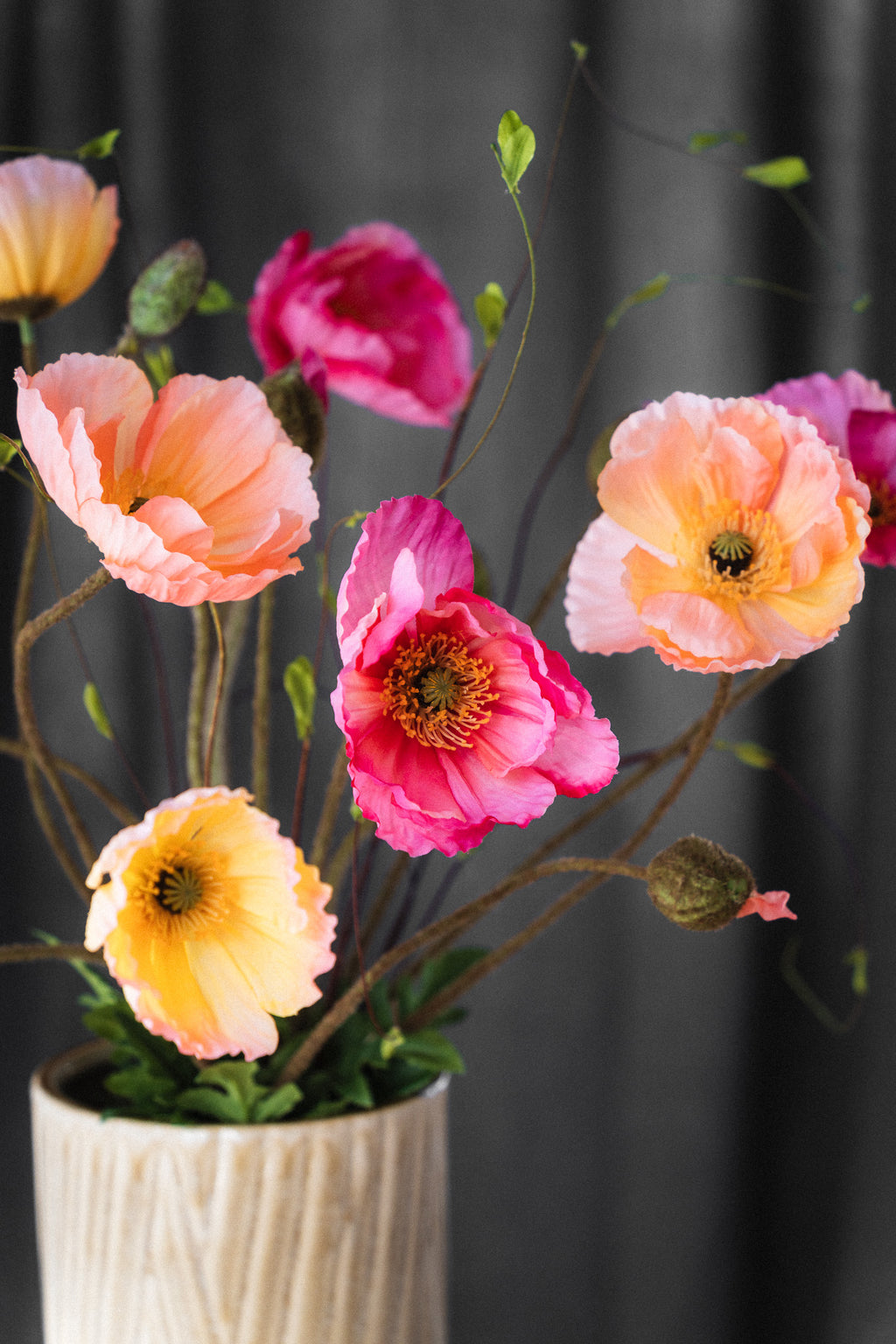 Everlasting Bouquet Poppy Burst