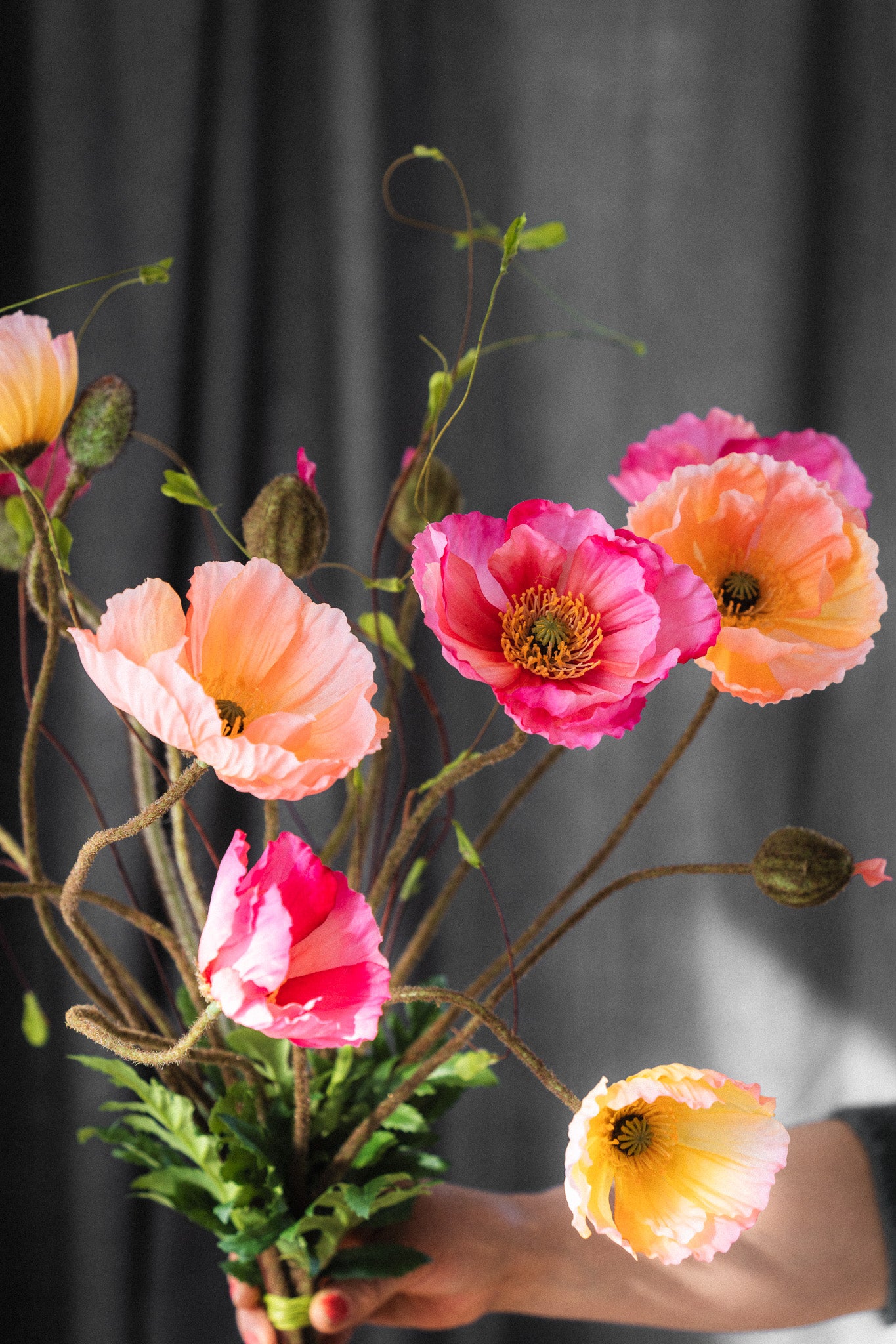 Everlasting Bouquet Poppy Burst