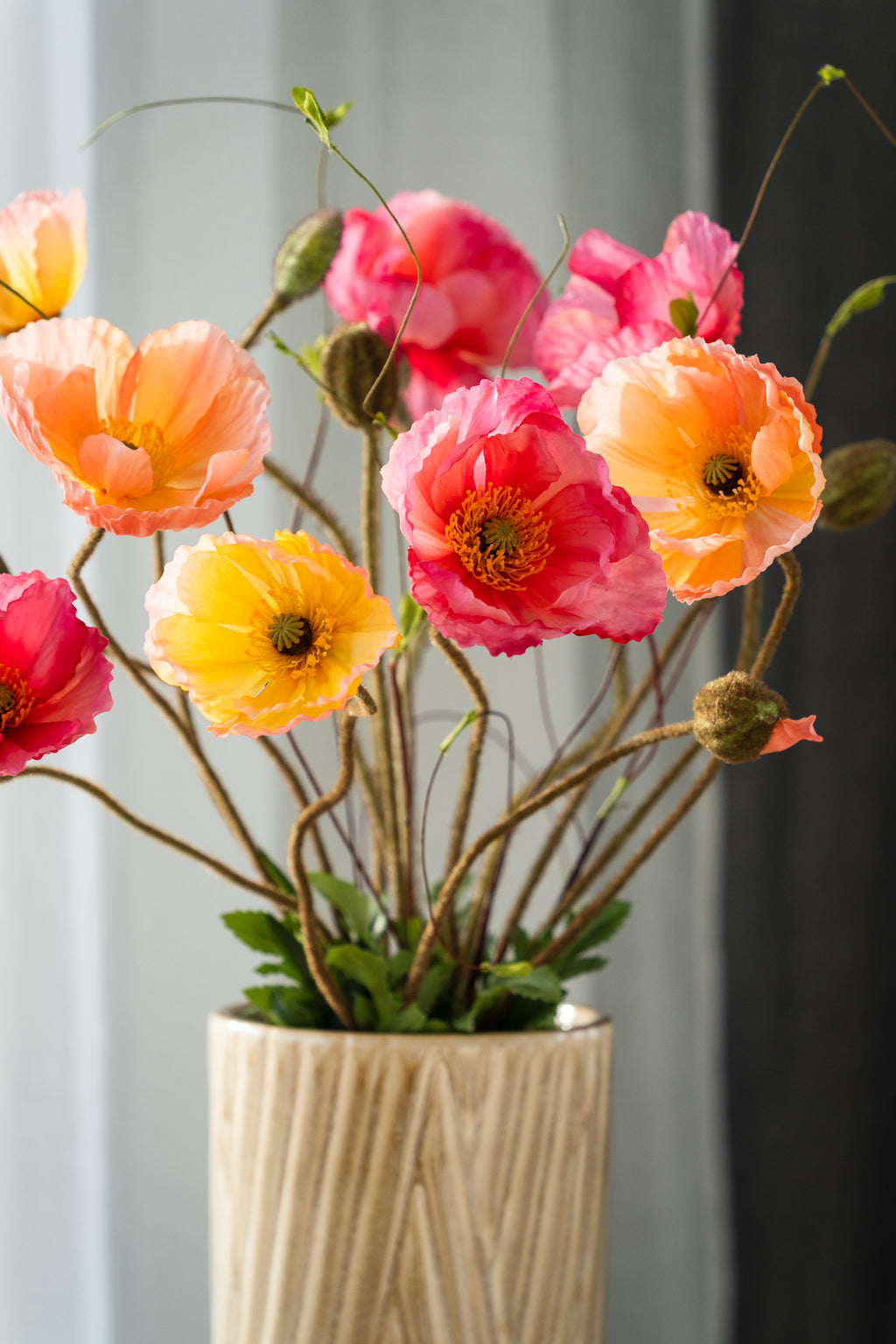 Everlasting Bouquet Poppy Burst