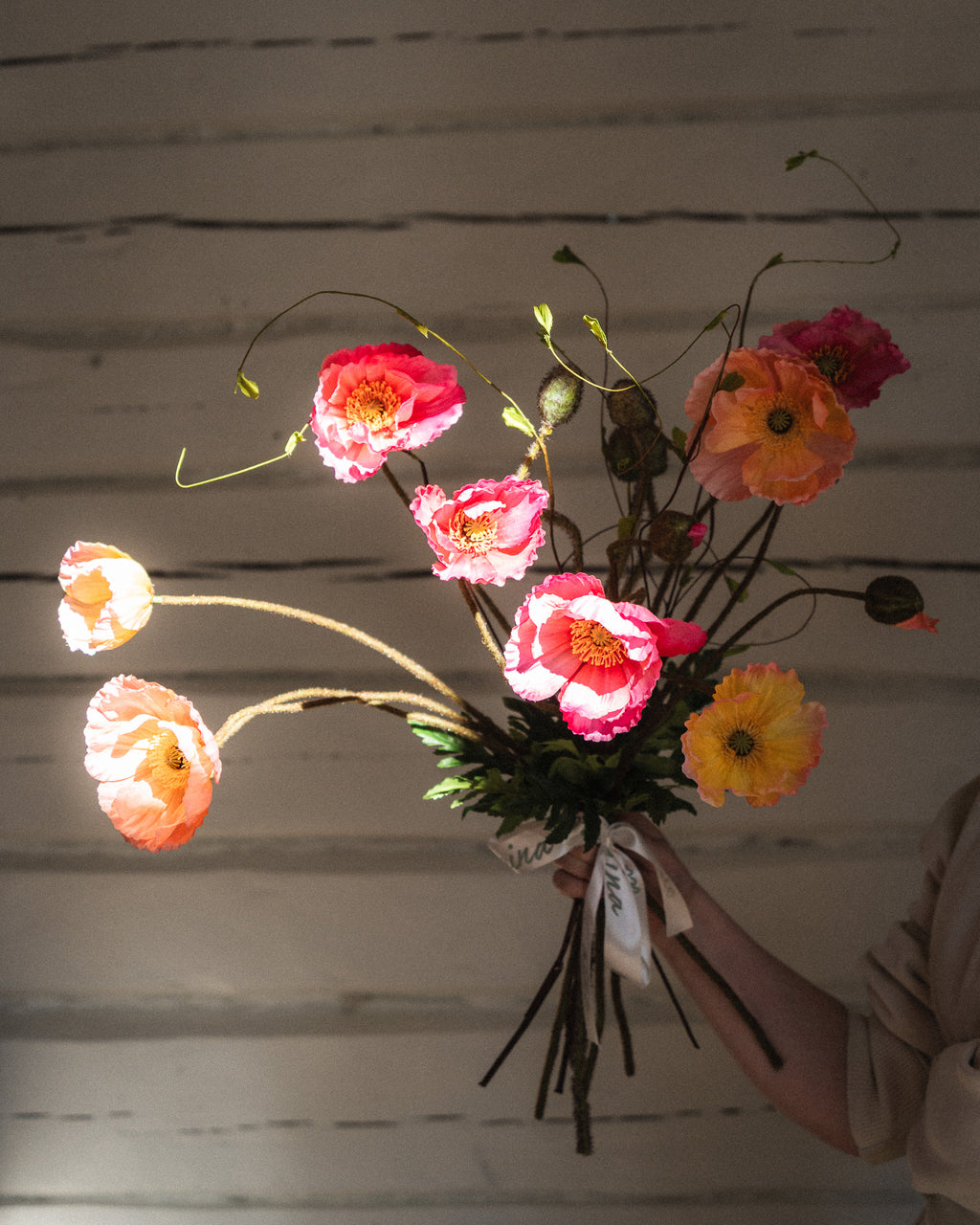 Everlasting Bouquet Poppy Burst