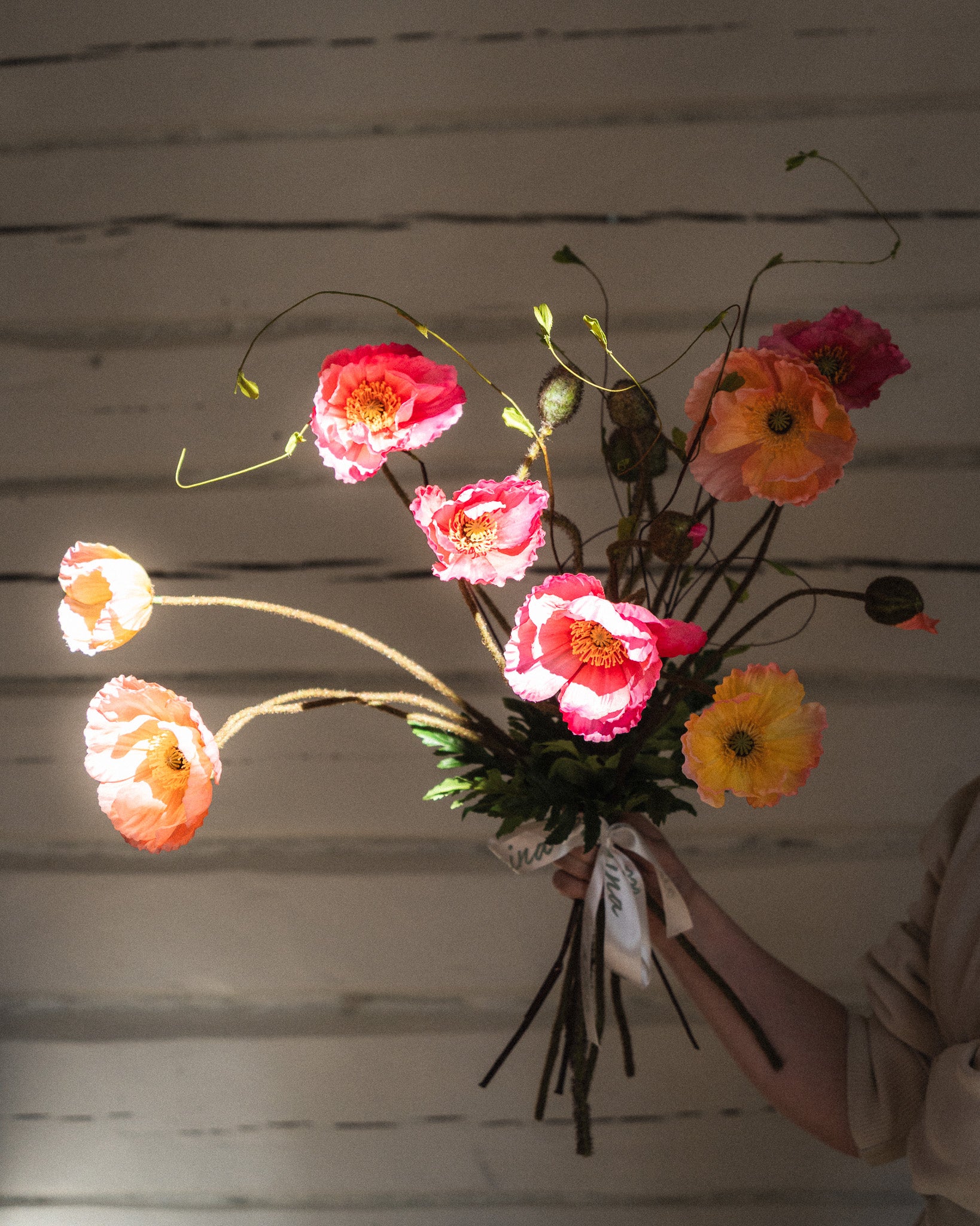Everlasting Bouquet Poppy Burst