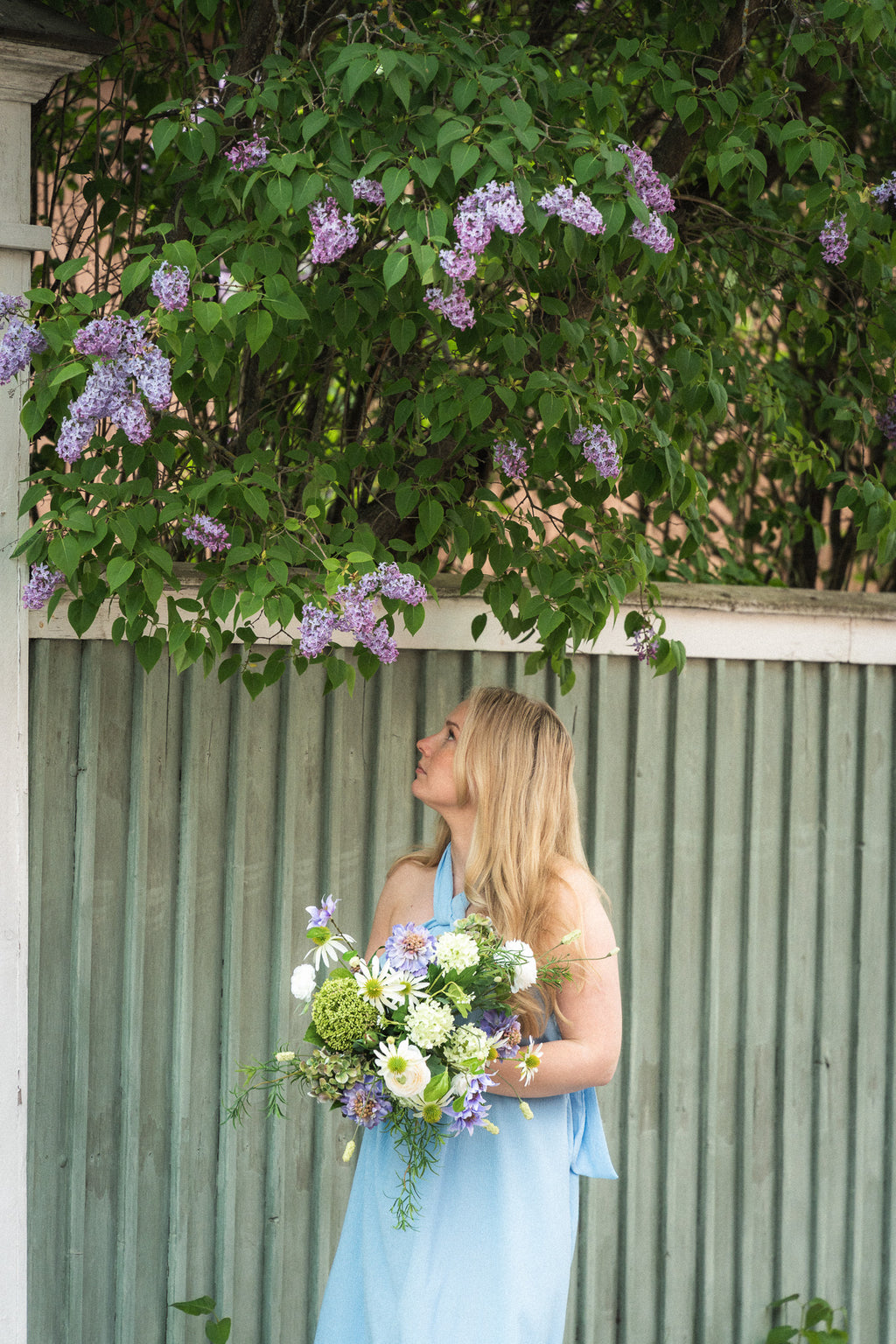 Kestokimppu Lavender Dreams