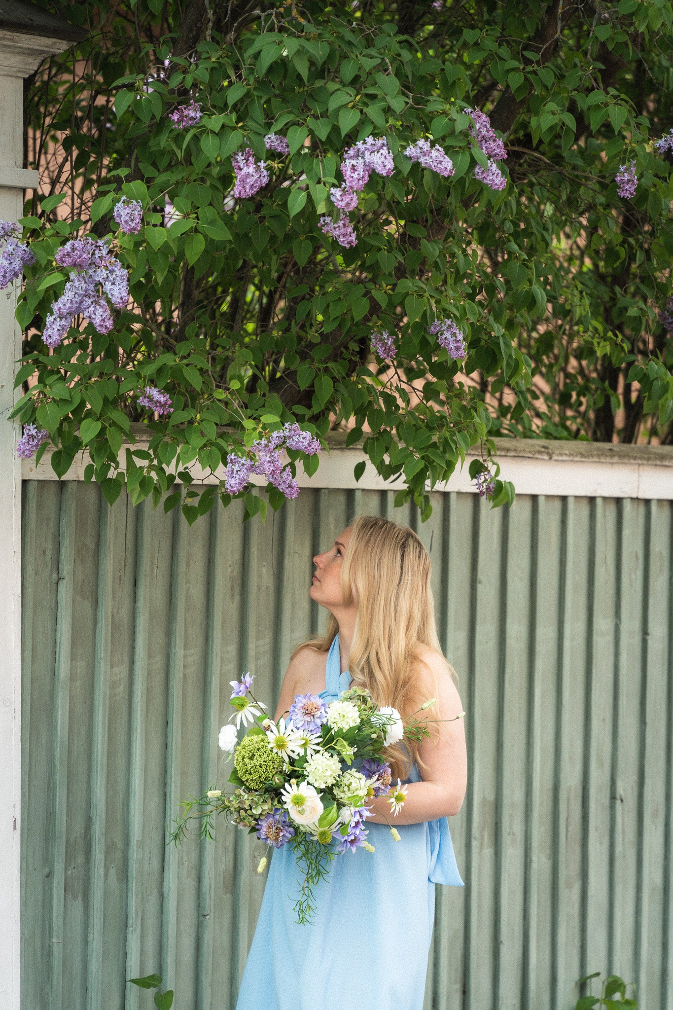 Kestokimppu Lavender Dreams