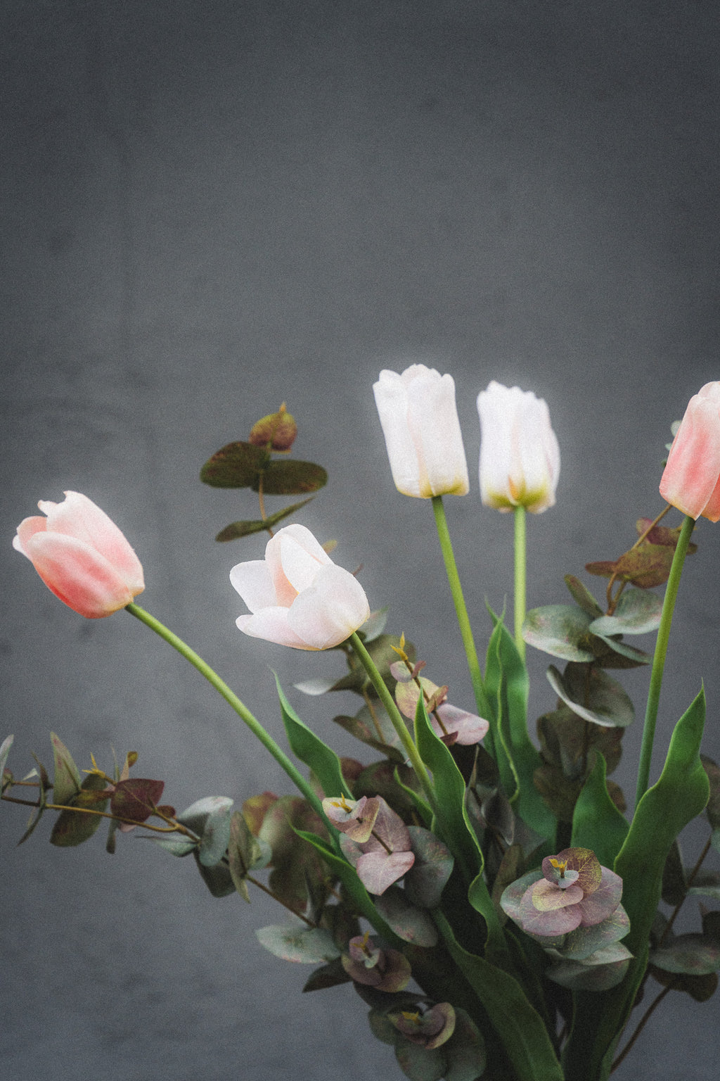 Kestokimppu Tulip Reverie