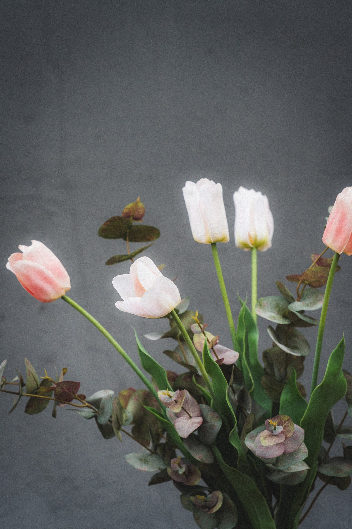 Kestokimppu Tulip Reverie