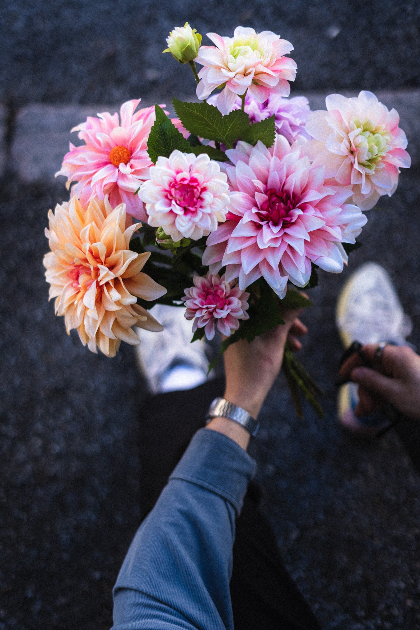 Kestokimppu Timeless Dahlia